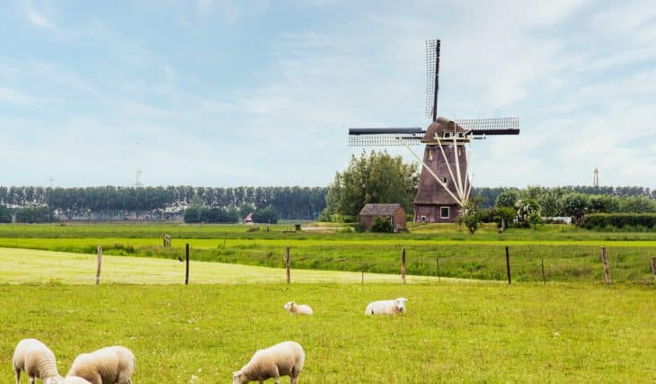 The Netherlands Has Again Claimed Fifth Place On The World Happiness Report