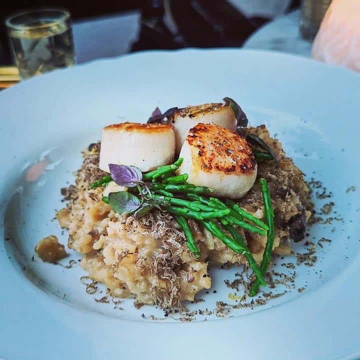 Seared scallops sitting atop a bed of Rissotto and samphire in Truffle Boutique, Amsterdam.