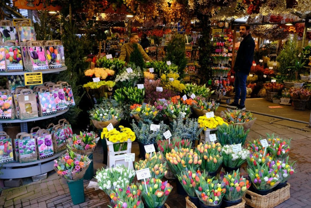Flowers at Bloemenmarkt floating flower market in Amsterdam.